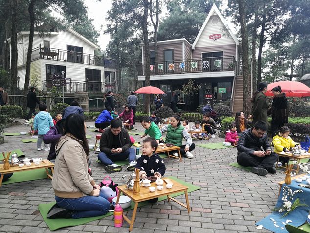 植树节亲子活动