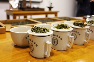 评茶员学习班（中/高 级）