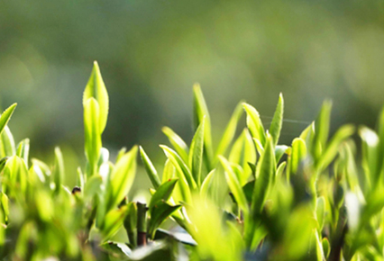 1521445192530388.png 微信图片_20180318145708.png