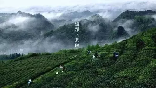 1532744322209883.png 微信图片_20180728103036.png