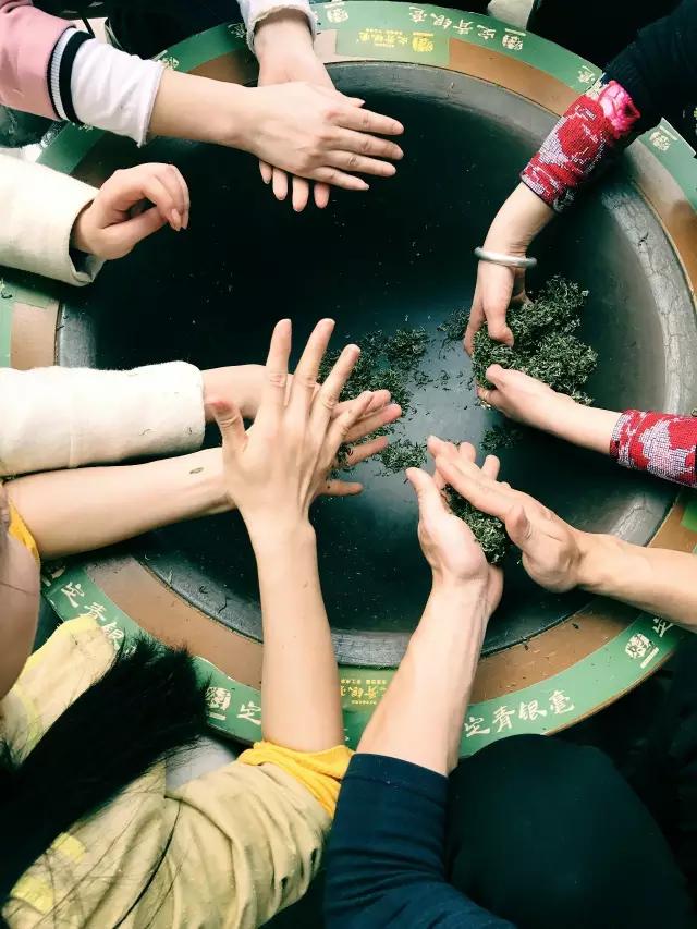 茶艺培训 茶艺培训